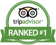 charleston-trip-advior